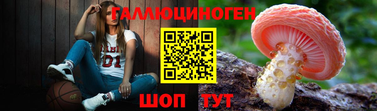 Галлюциногенные грибы Psilocybe Шарыпово