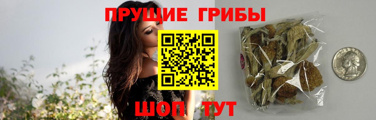 Псилоцибиновые грибы ЛСД  Вход с VPN  Шарыпово 